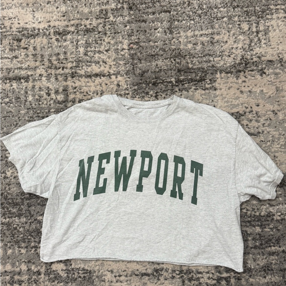 Brandy Melville Gray Newport Tee
